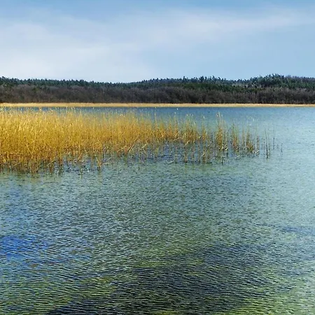 펜션 Gorgeous In With Wifi *